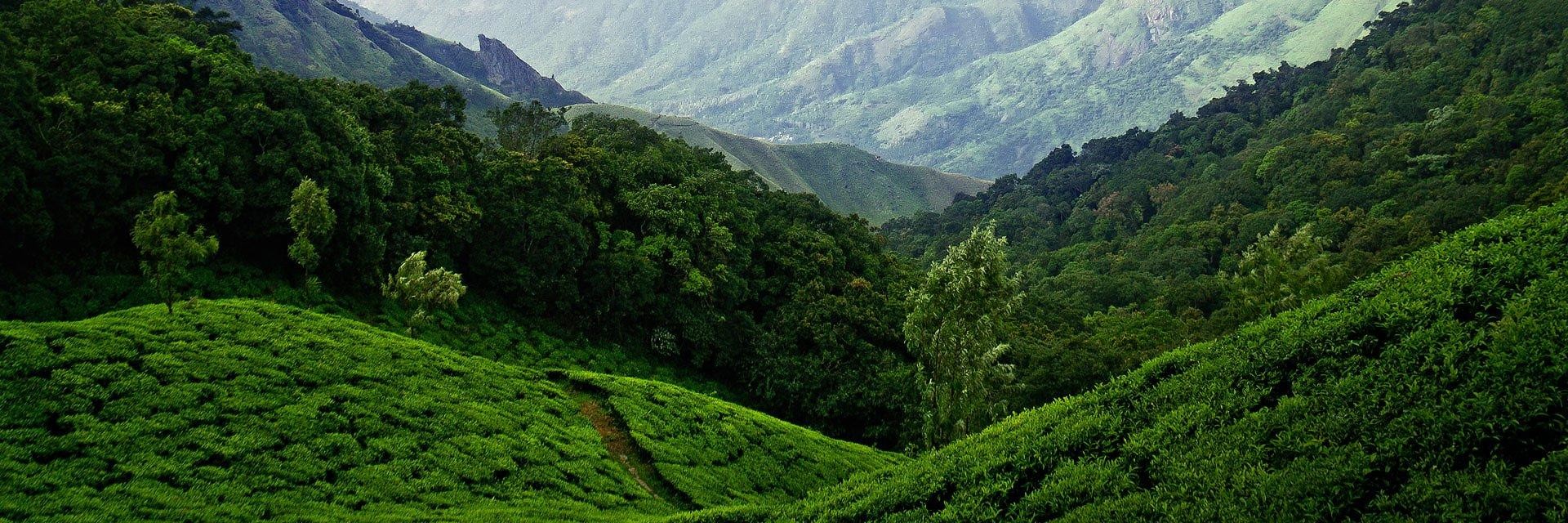 Uttarkashi Valley